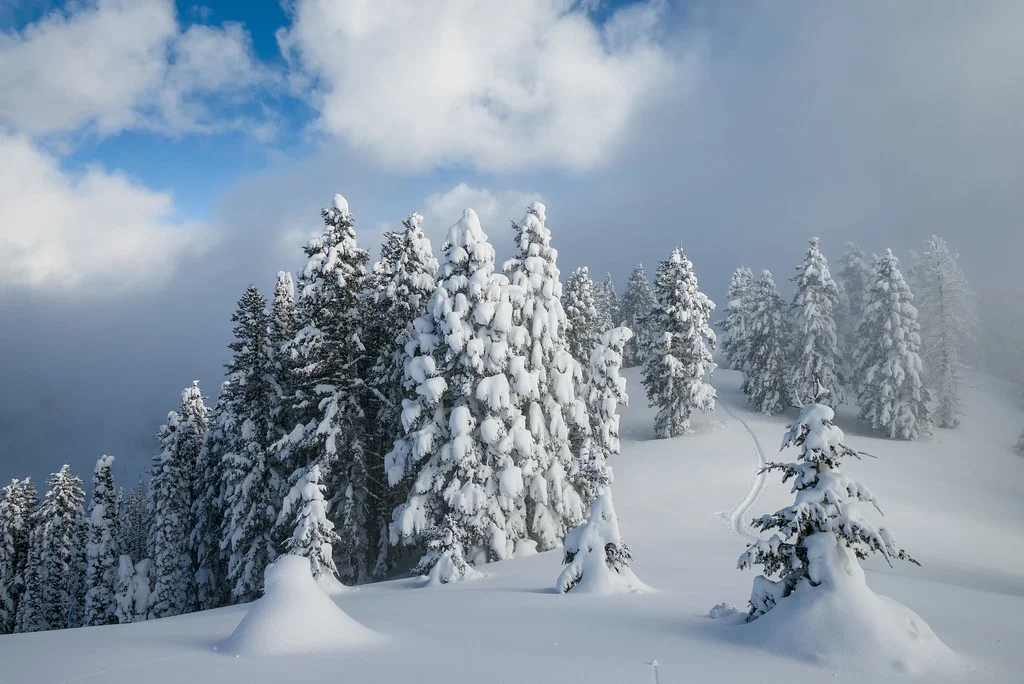 Forêt nationale de Boise, États-Unis