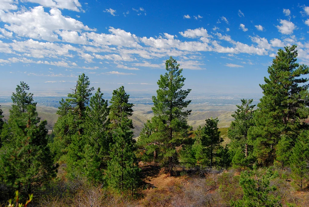 Forêt nationale de Boise, États-Unis