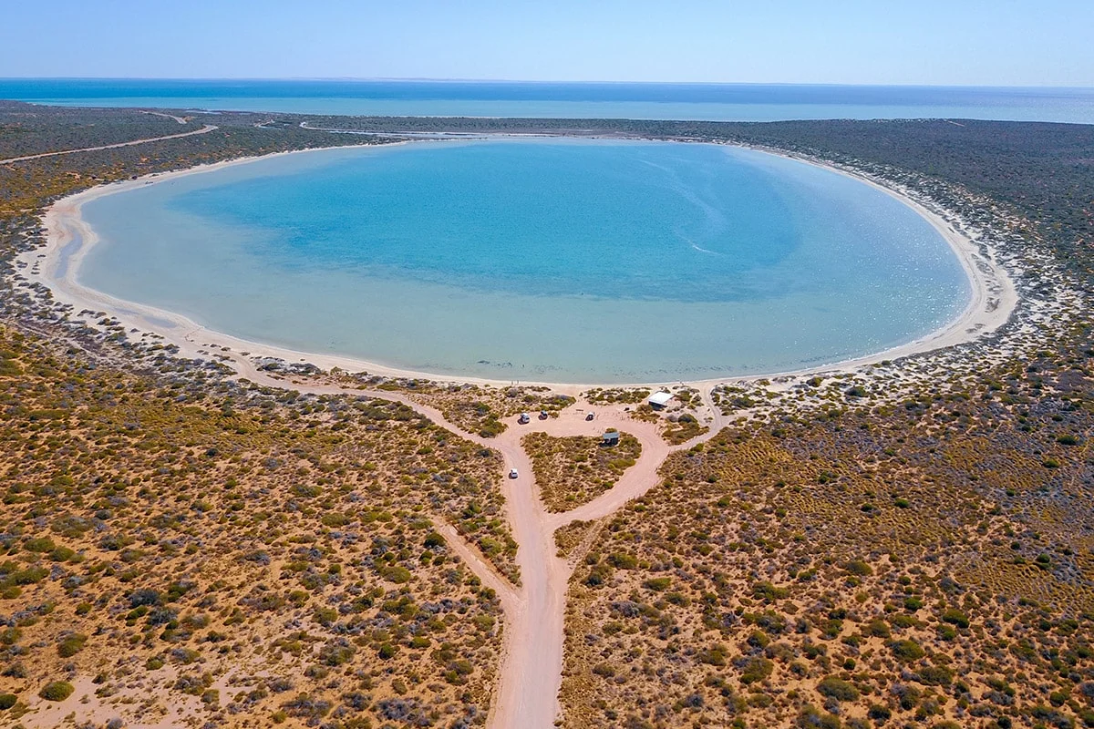 Baie Shark, Australie