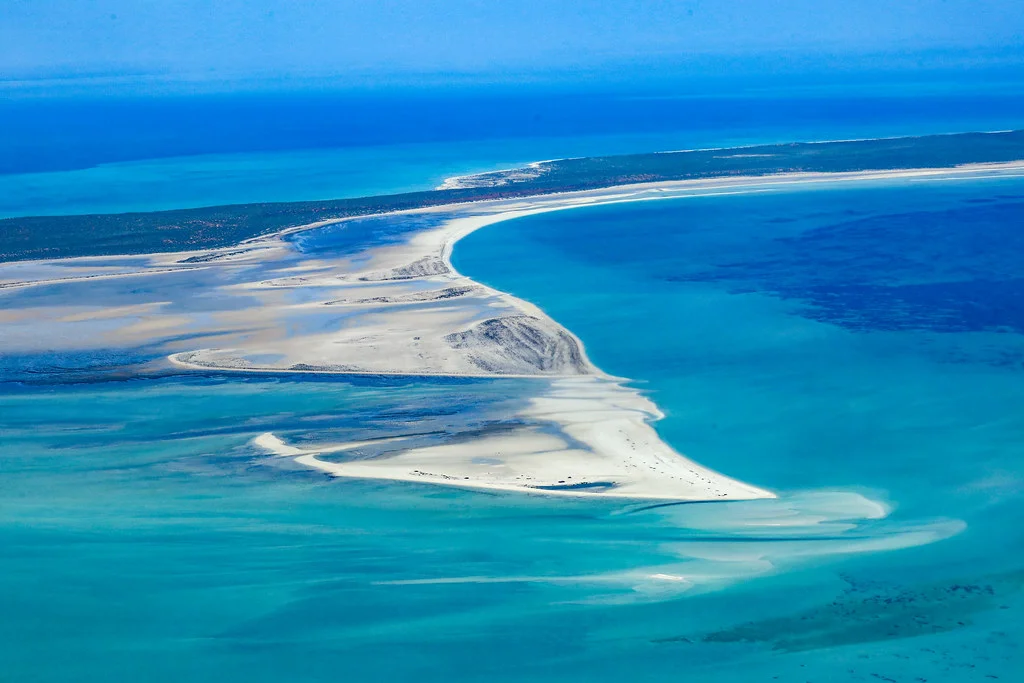 Baie Shark, Australie