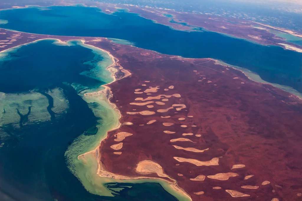 Baie Shark, Australie