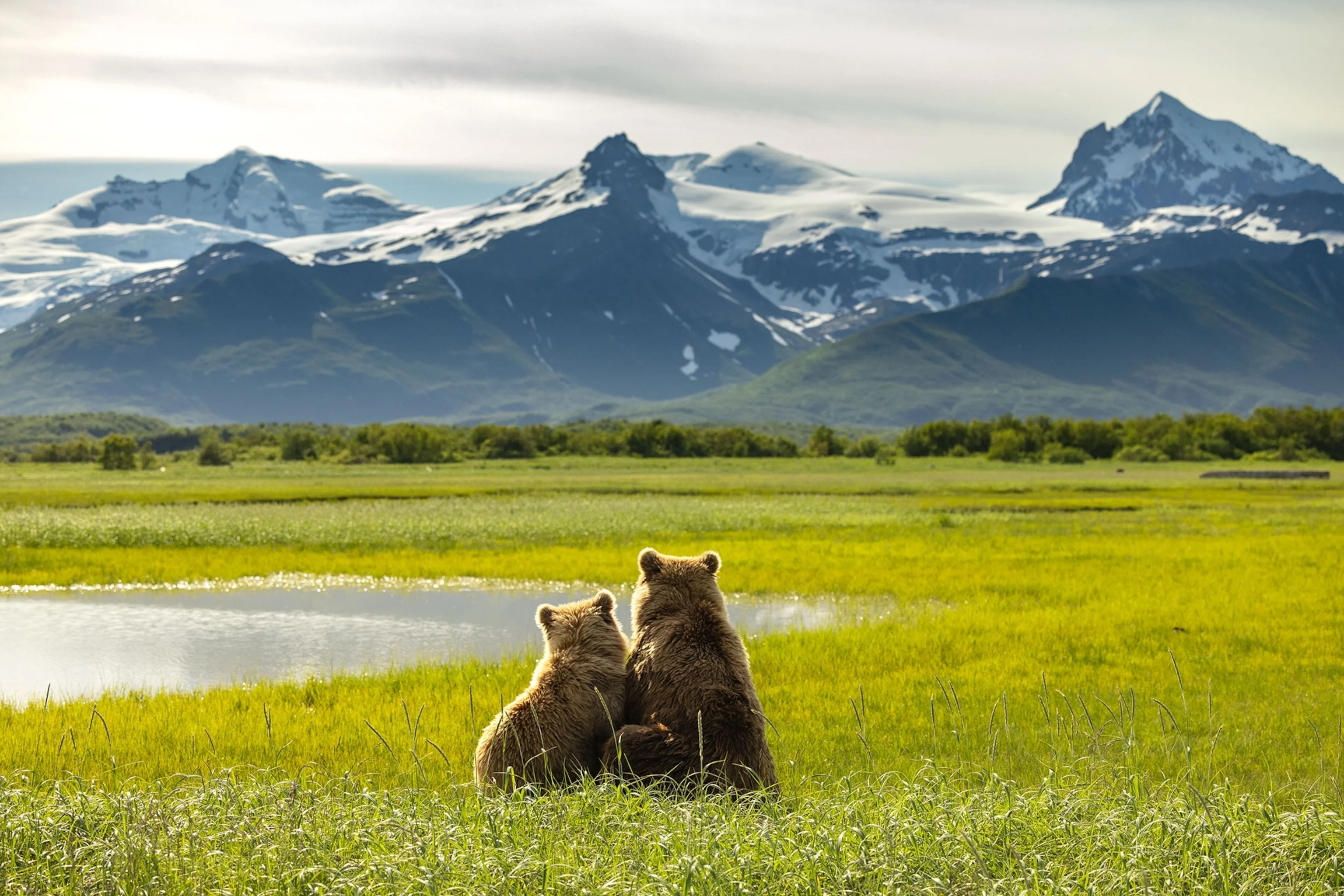 Parc national et réserve de Katmai, États-Unis
