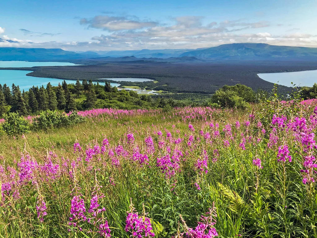 Parc national et réserve de Katmai, États-Unis