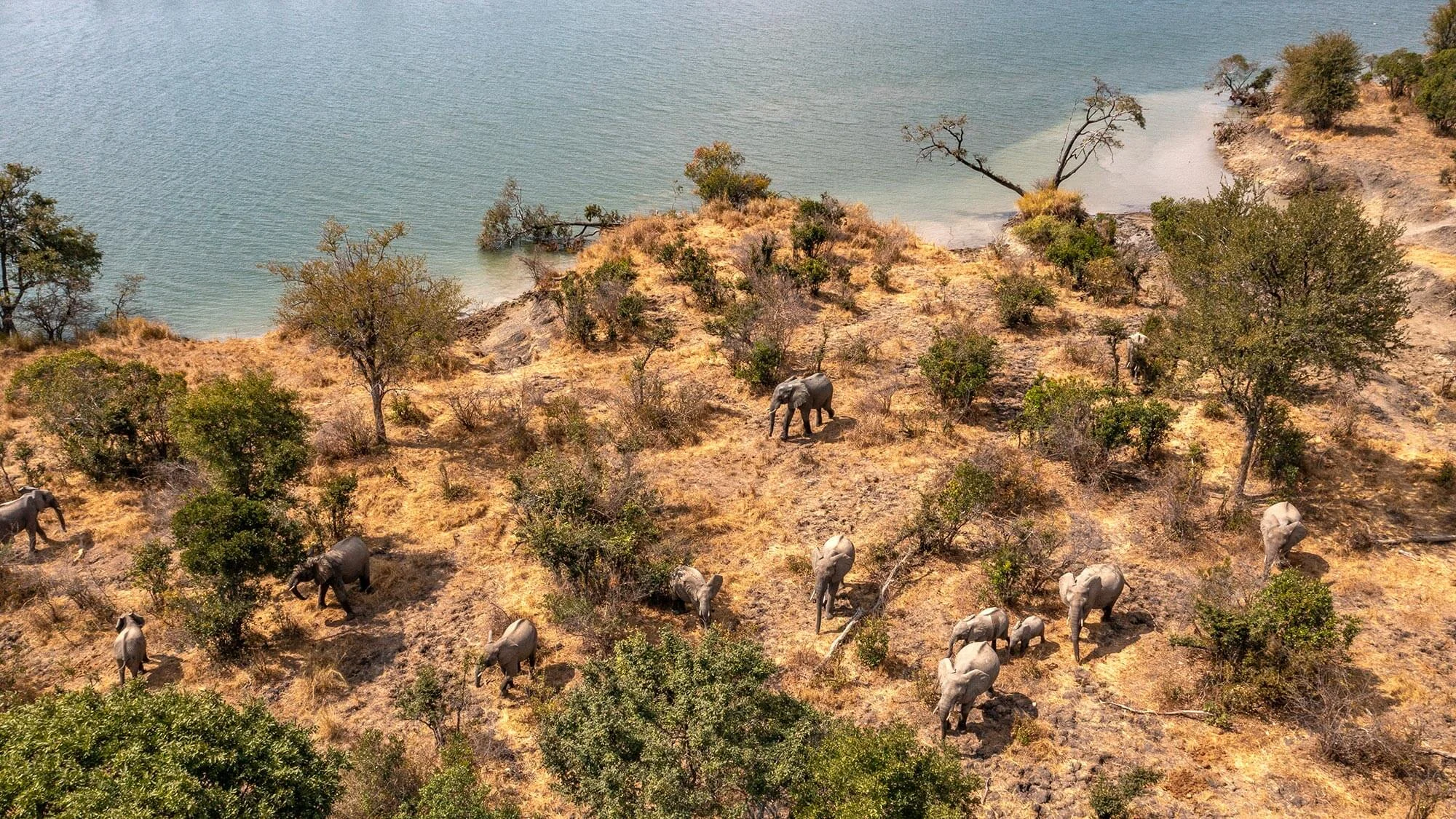 Parc national de Kafue, Zambie