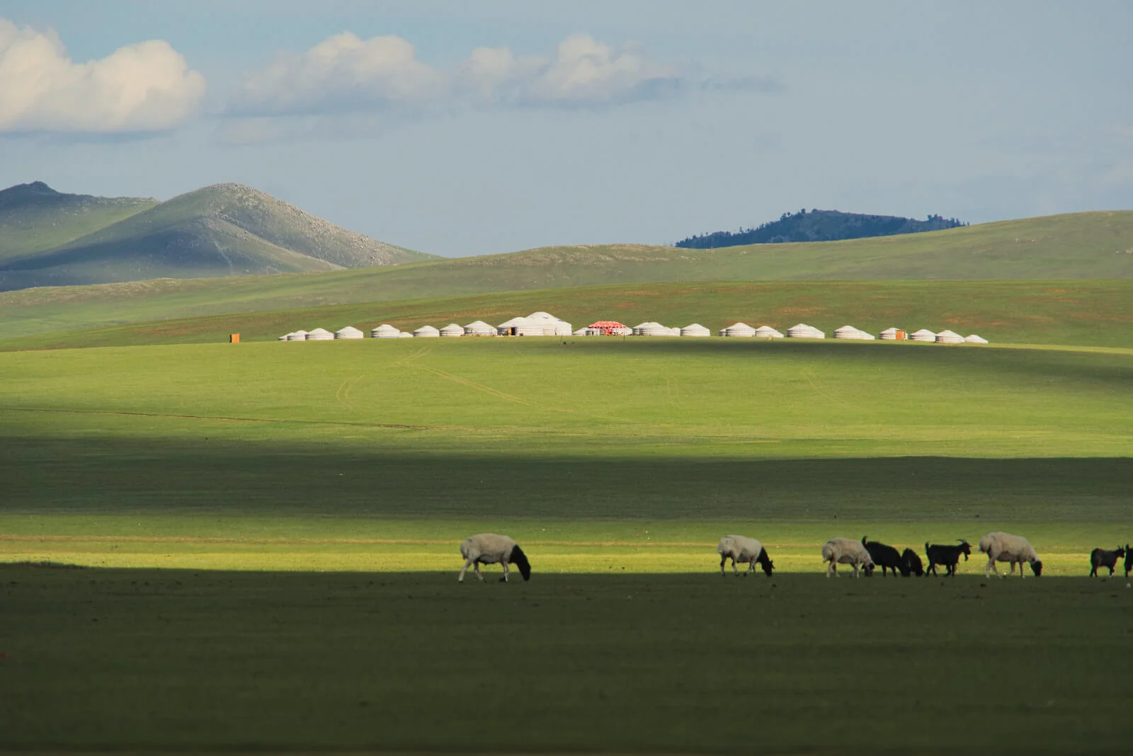 Vallée de l'Orkhon, Mongolie, Mongolie