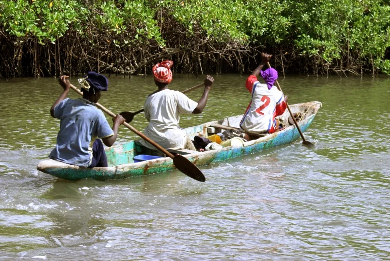 Tanbi Wetland, Gambie
