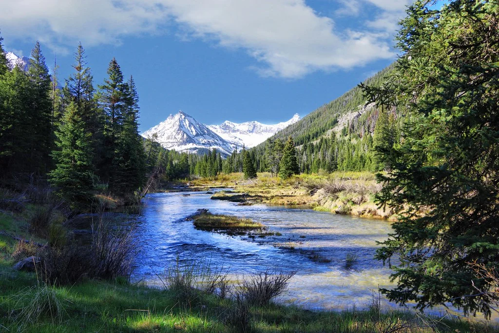 Forêt nationale de Salmon-Challis, États-Unis