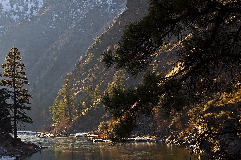 Forêt nationale de Salmon-Challis, États-Unis