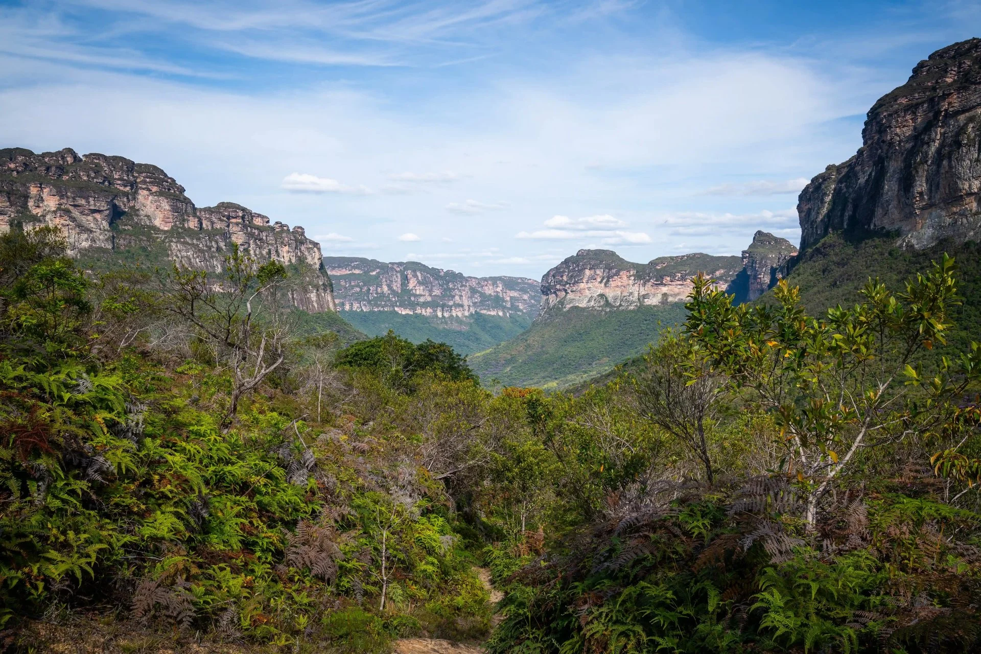 Vallée du Pati, Brésil