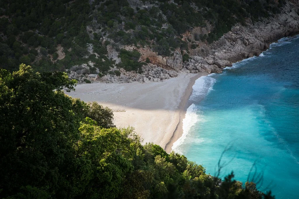 Selvaggio Blu, Italie