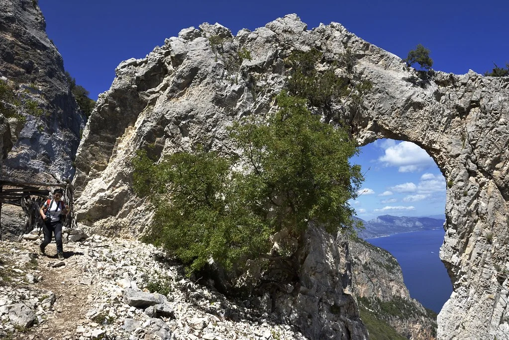 Selvaggio Blu, Italie