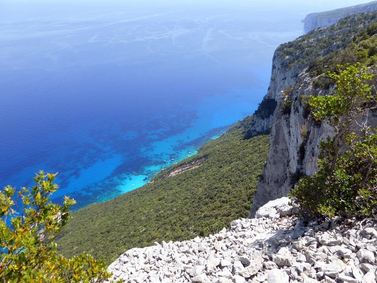 Selvaggio Blu, Italie