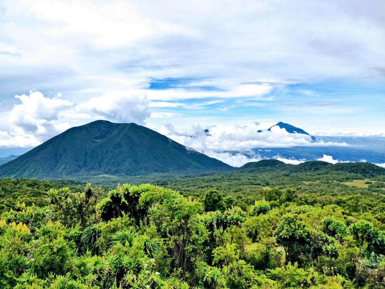 Mont Karisimbi, Rwanda