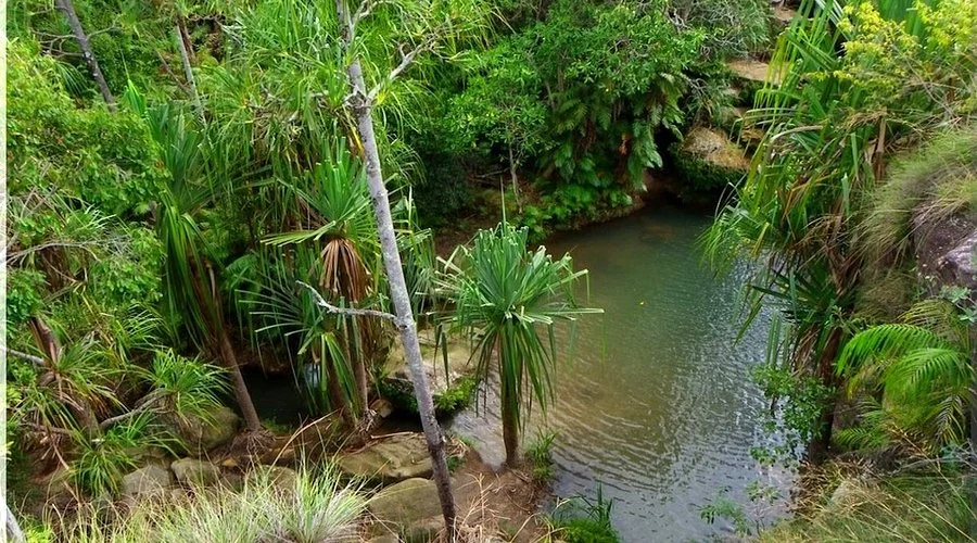 Piscine naturelle (Isalo), Madagascar