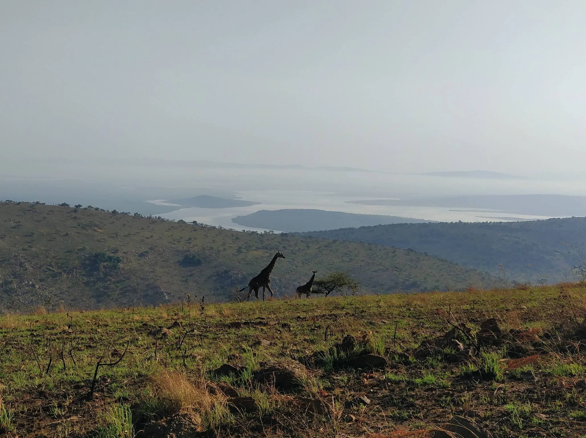 Parc national de l'Akagera, Rwanda