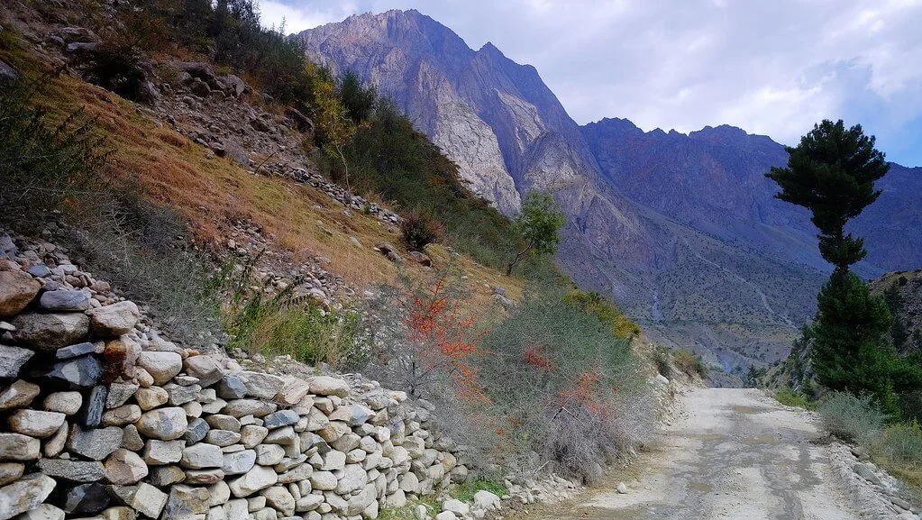 Vallée de Naltar, Pakistan