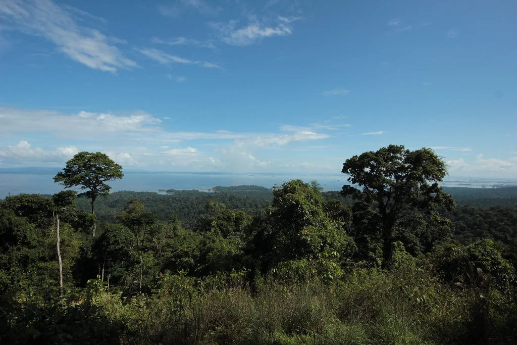 Réserve naturelle de Brownsberg, Suriname