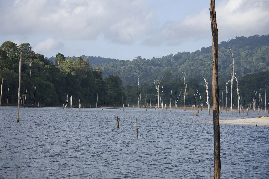 Réserve naturelle de Brownsberg, Suriname