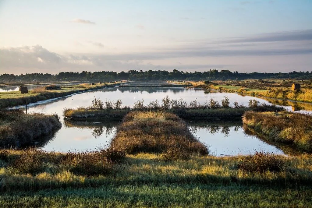 Île d'Oléron, France
