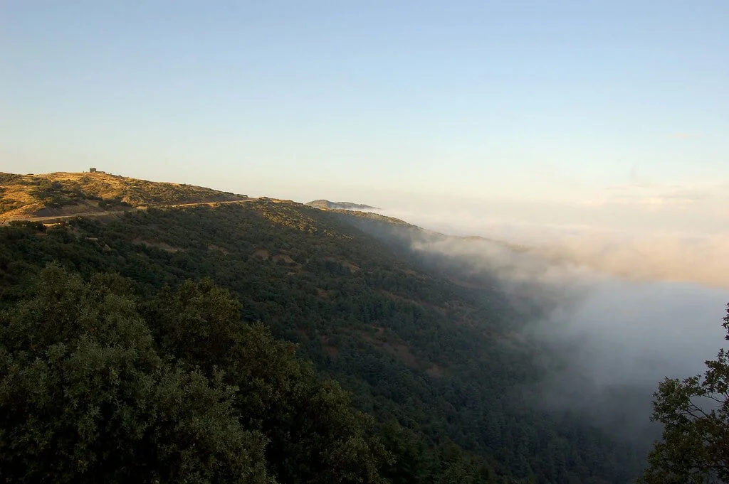 Parc national de Chréa, Algérie
