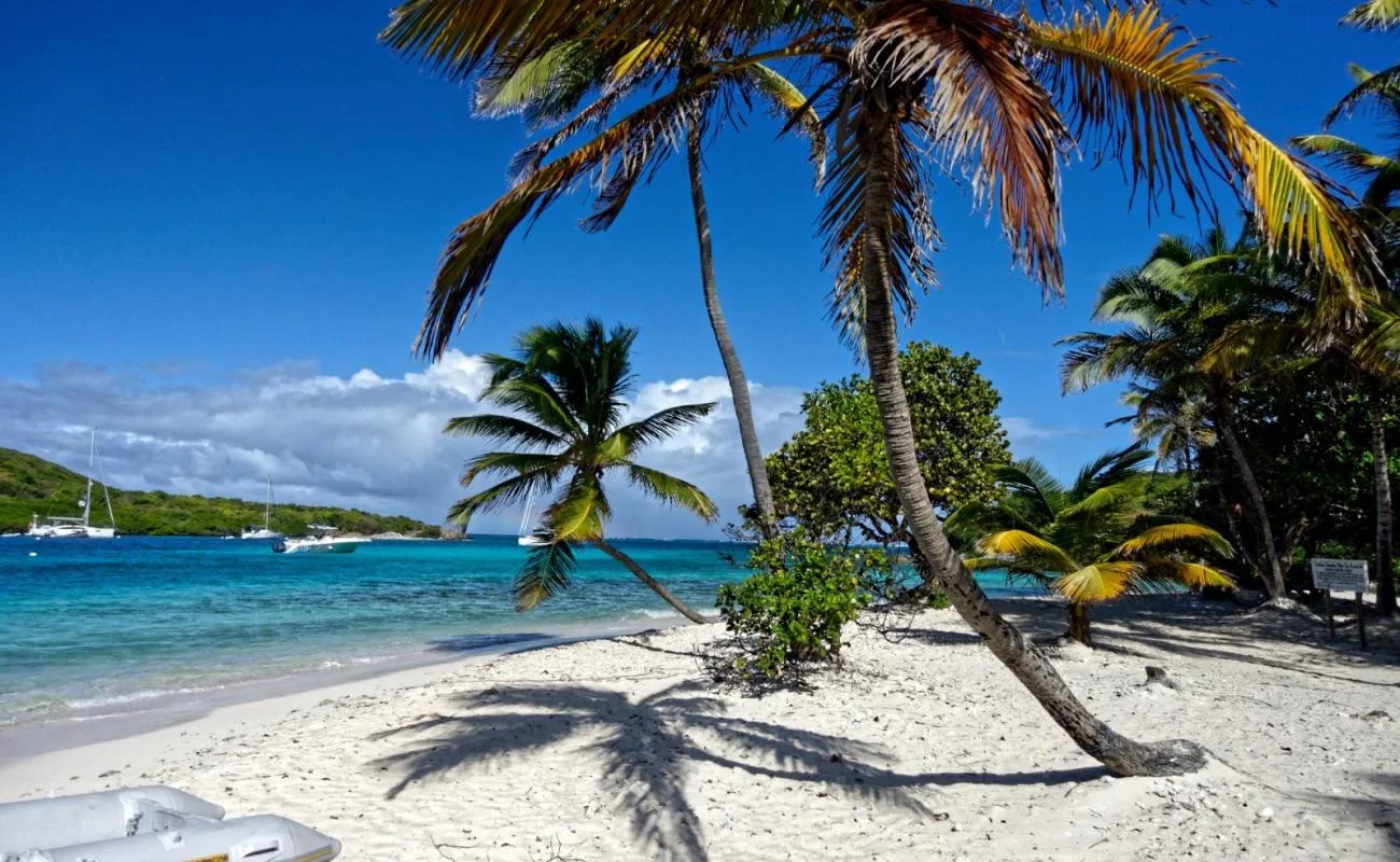Petit Rameau, Saint-Vincent et les Grenadines