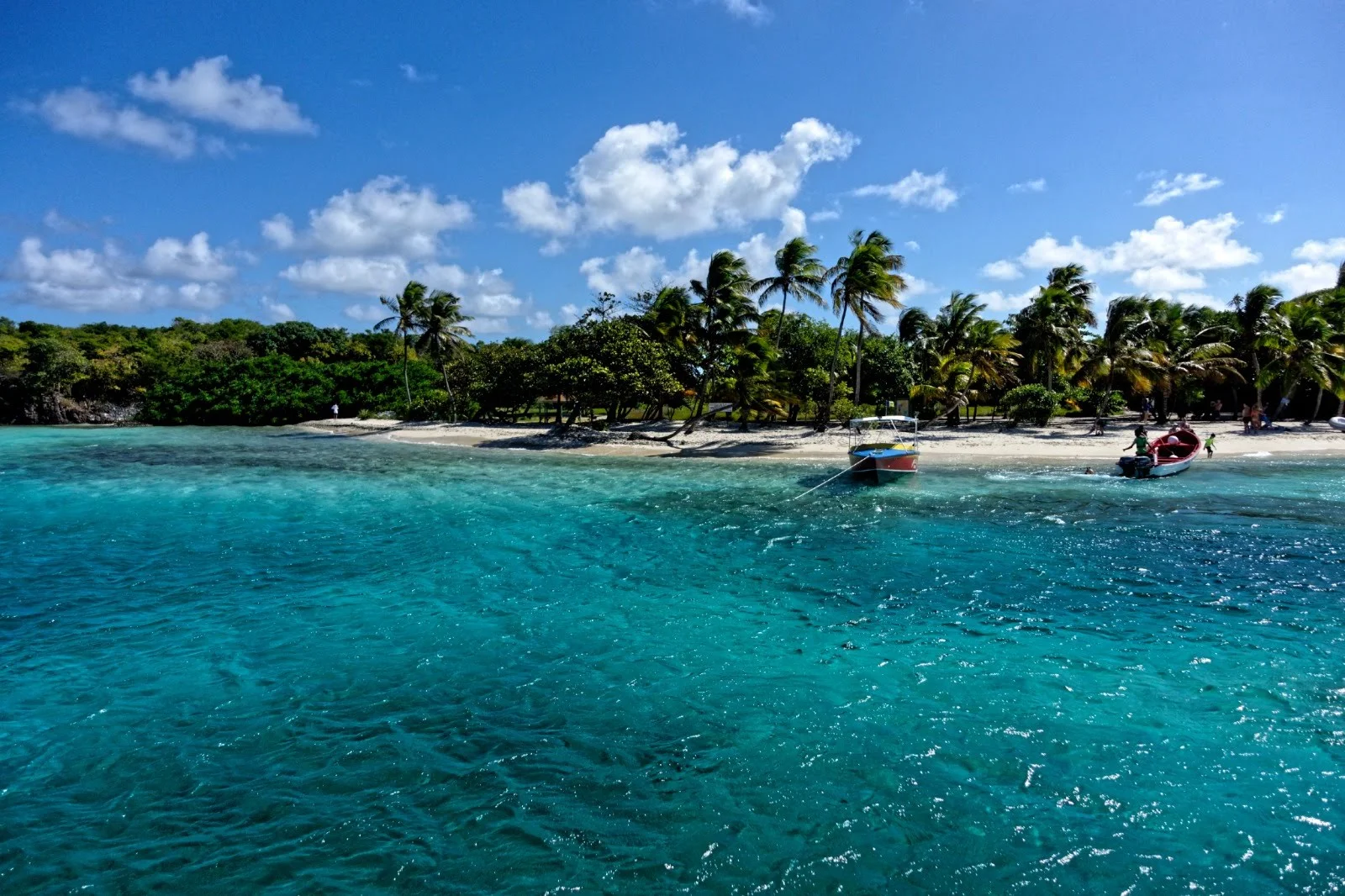 Petit Rameau, Saint-Vincent et les Grenadines