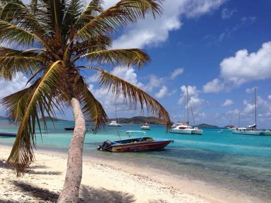 Petit Rameau, Saint-Vincent et les Grenadines