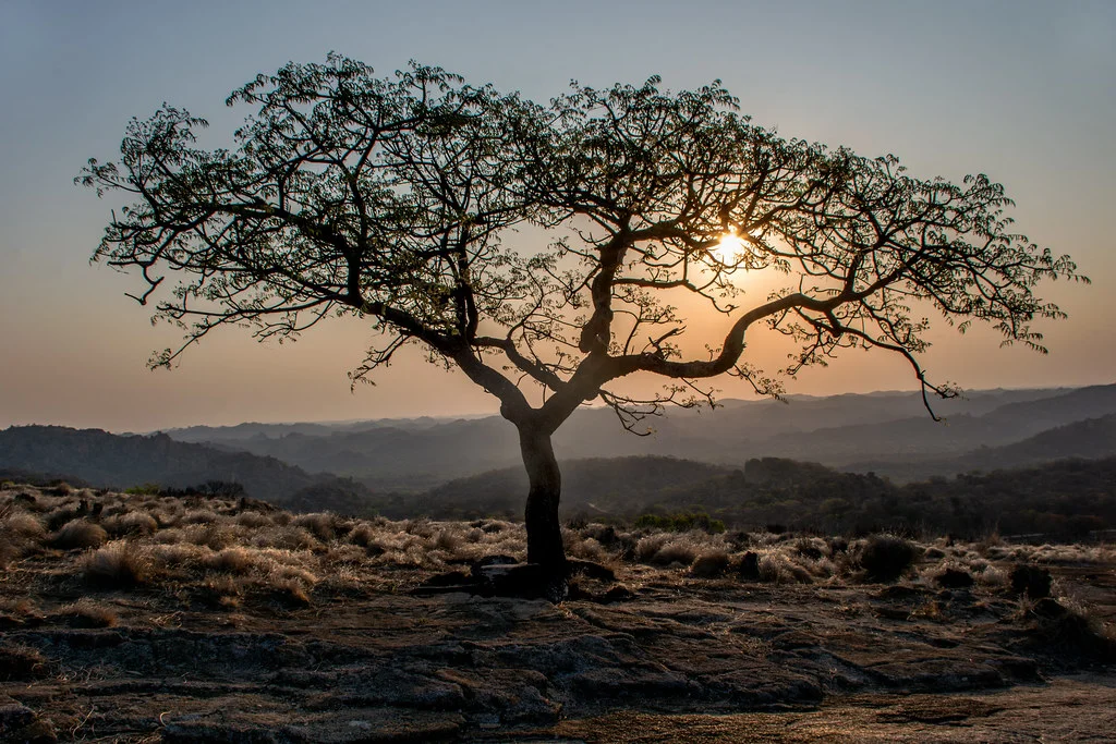 Monts Matobo, Zimbabwe