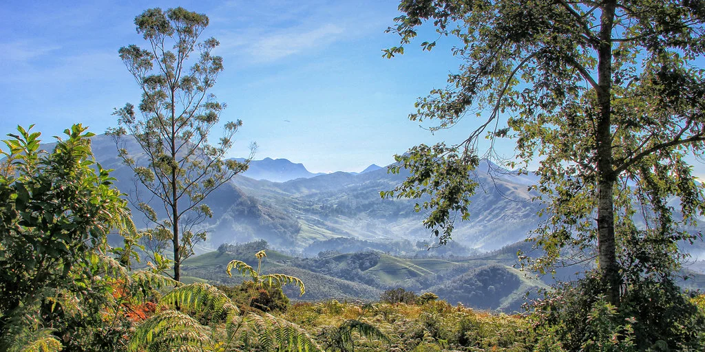 Parc national d'Eravikulam, Inde