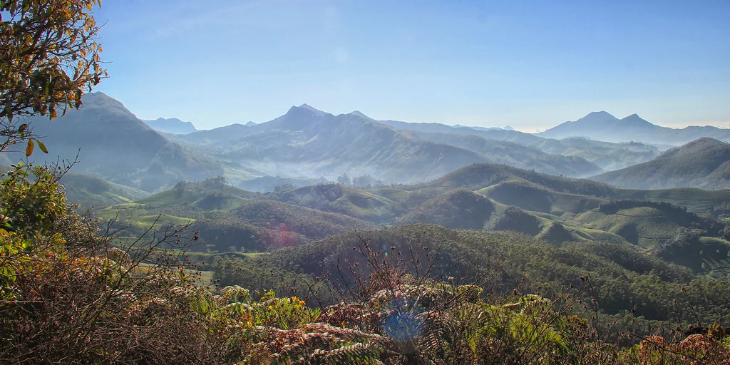 Parc national d'Eravikulam, Inde