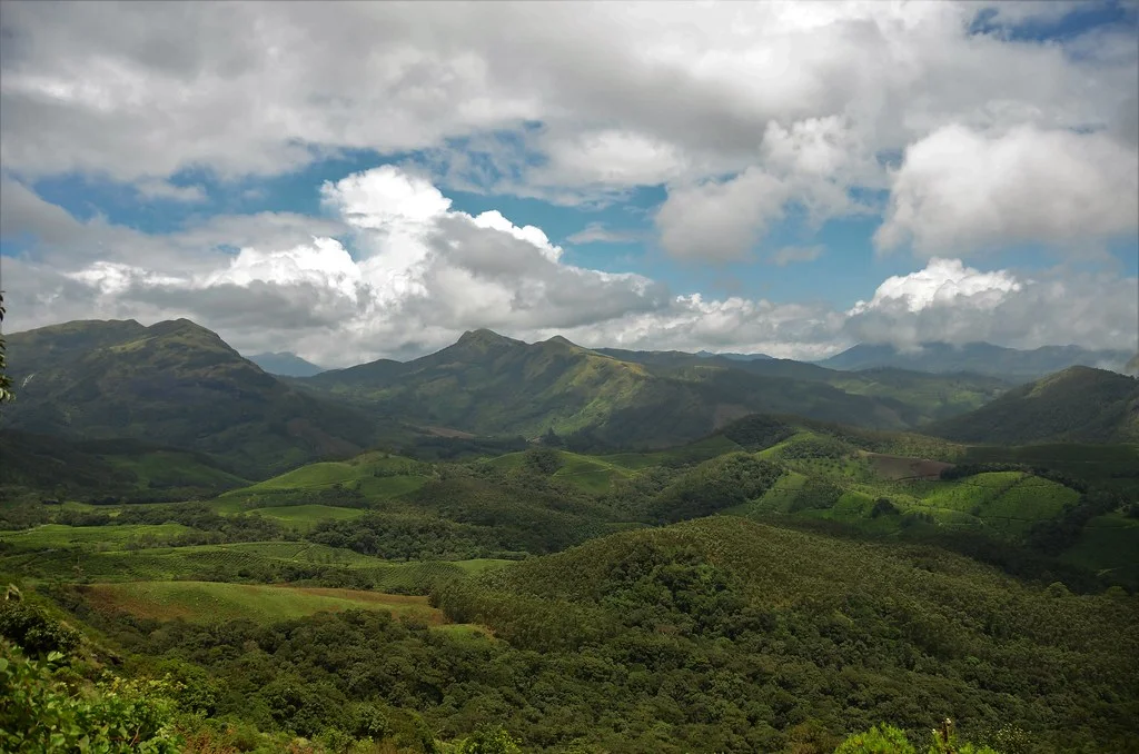 Parc national d'Eravikulam, Inde