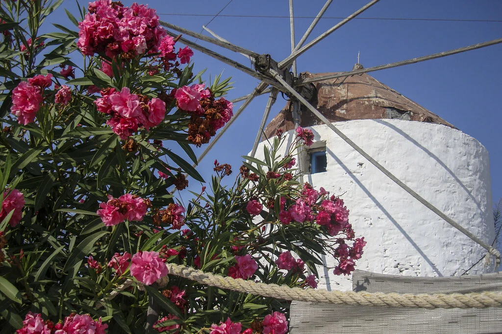 Ano Koufonissi, Grèce