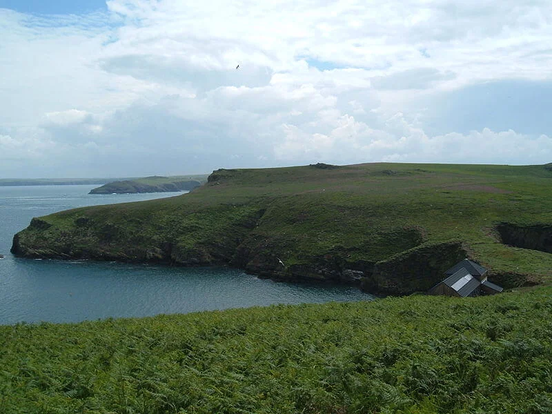 Skomer, Pays de Galles