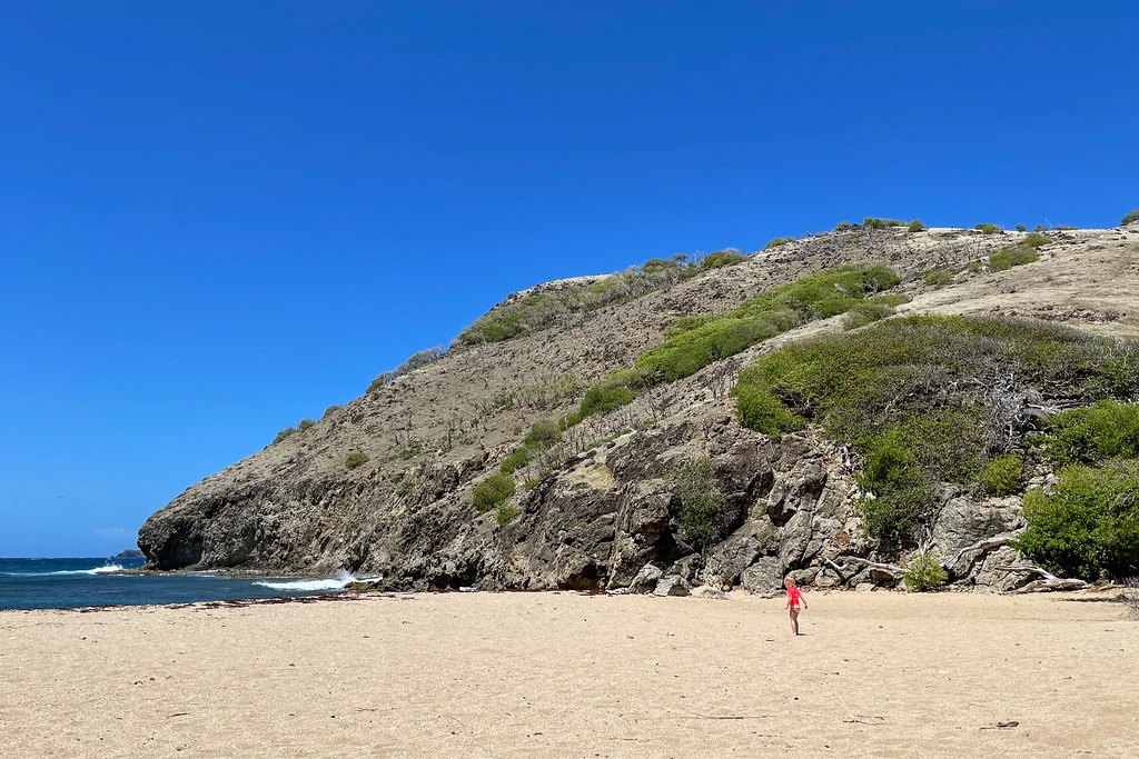 Anse Rodrigue, Guadeloupe