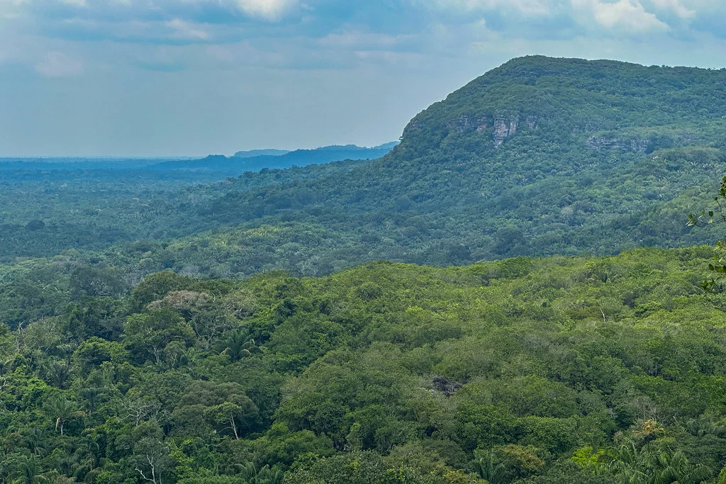 Serrania de La Lindosa, Colombie