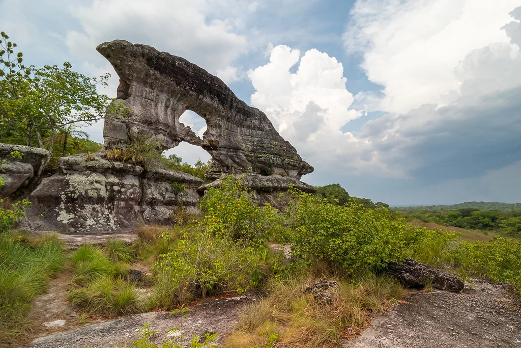 Serrania de La Lindosa, Colombie