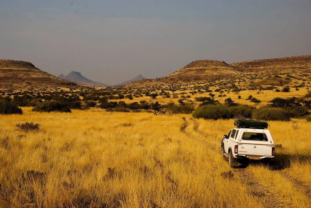 Concession de Palmwag, Namibie