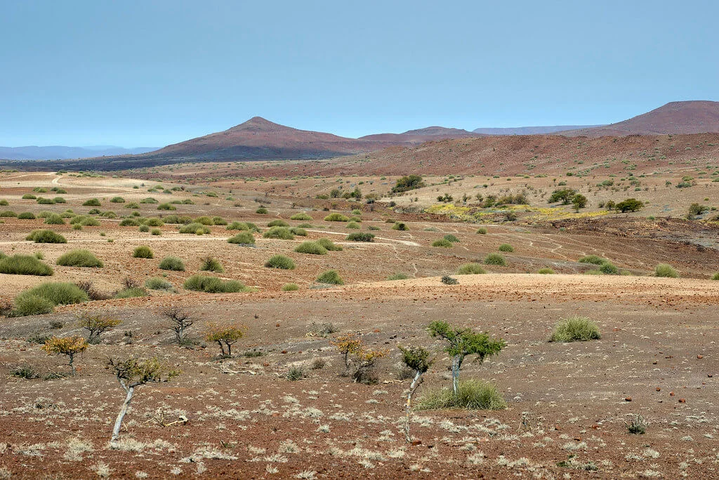 Concession de Palmwag, Namibie