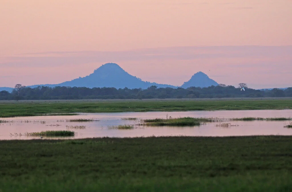 Parc national de Gorongosa, Mozambique