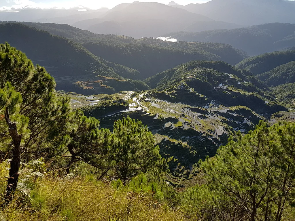 Maligcong Rice Terraces, Philippines