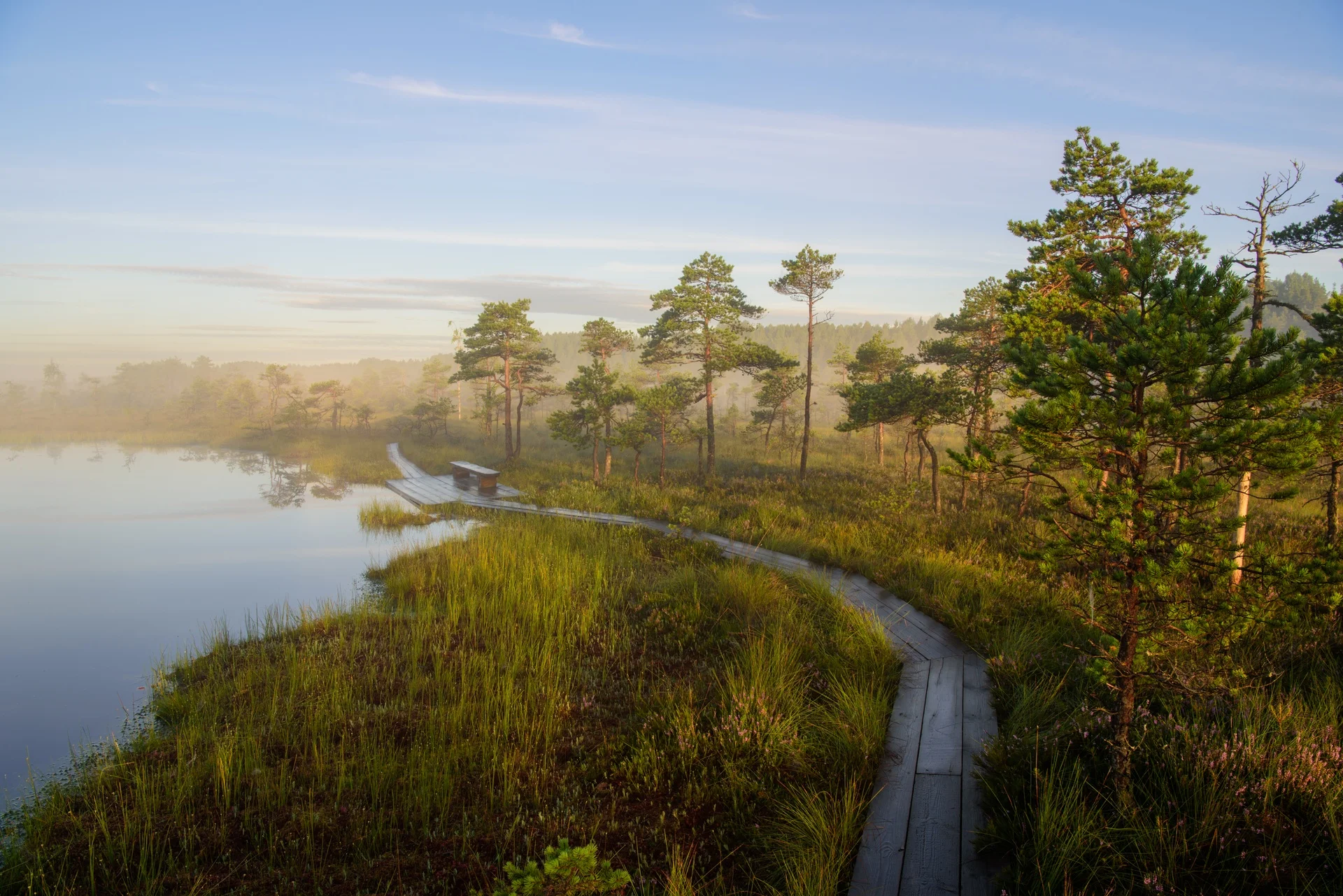 Parc national de Soomaa, Estonie