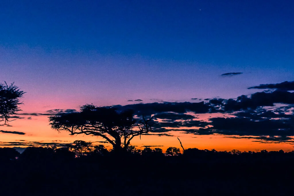 Khwai Private Reserve, Botswana