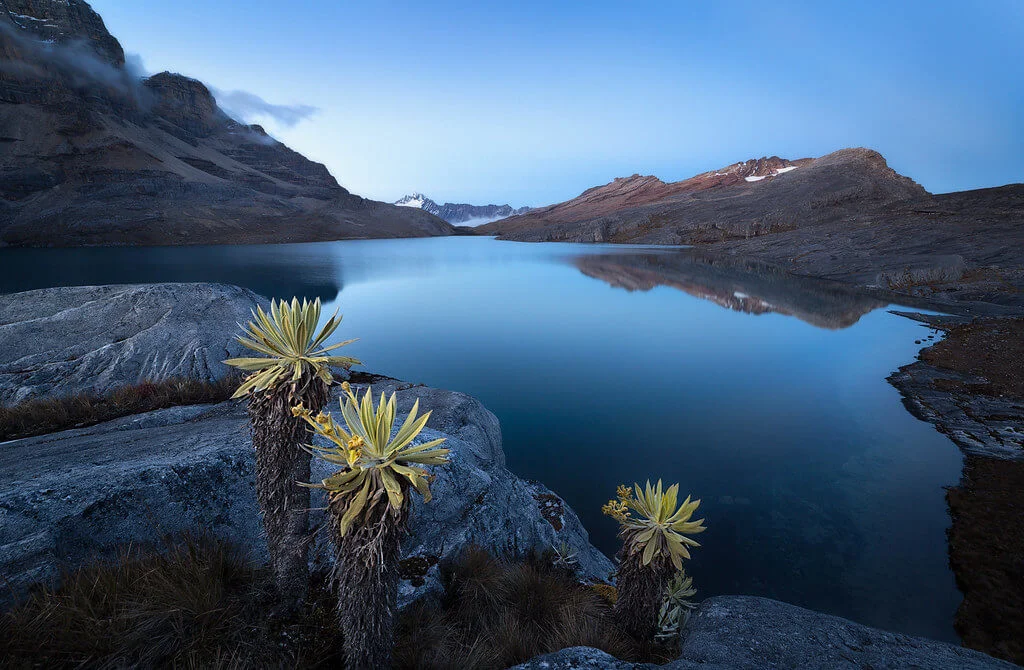 Parc national de la Sierra Nevada del Cocuy, Colombie