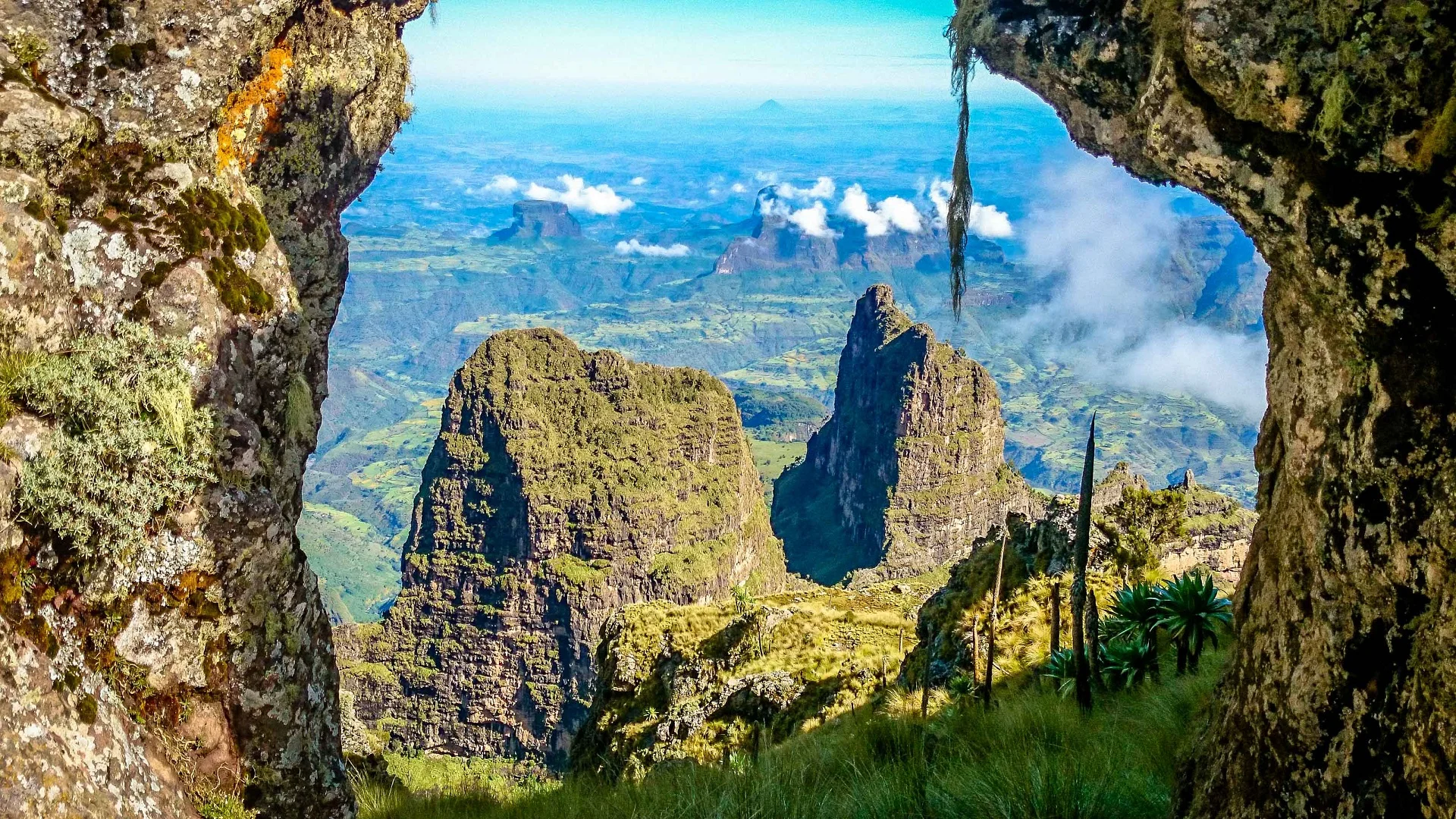 Ras Dashan, Éthiopie