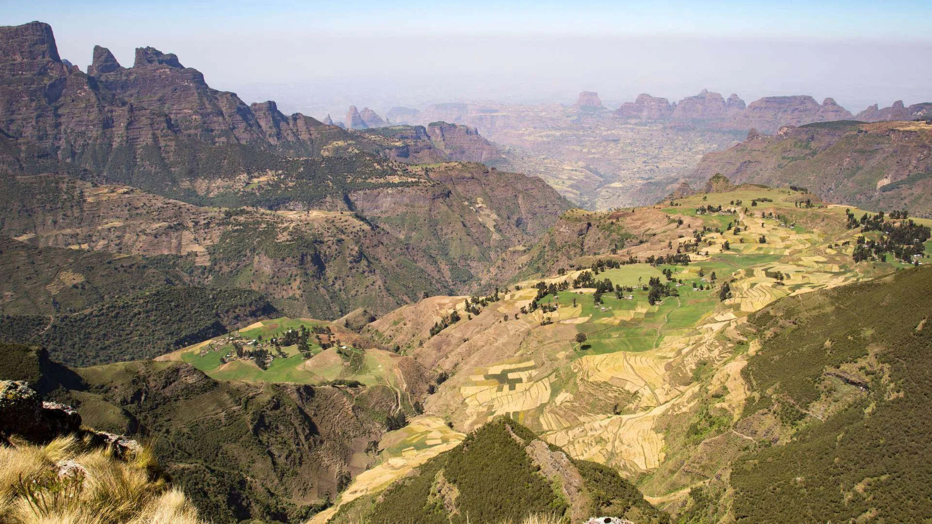 Ras Dashan, Éthiopie
