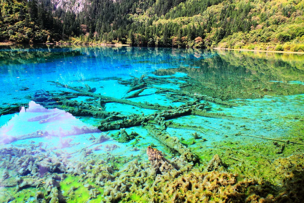 Lac des cinq fleurs, Chine