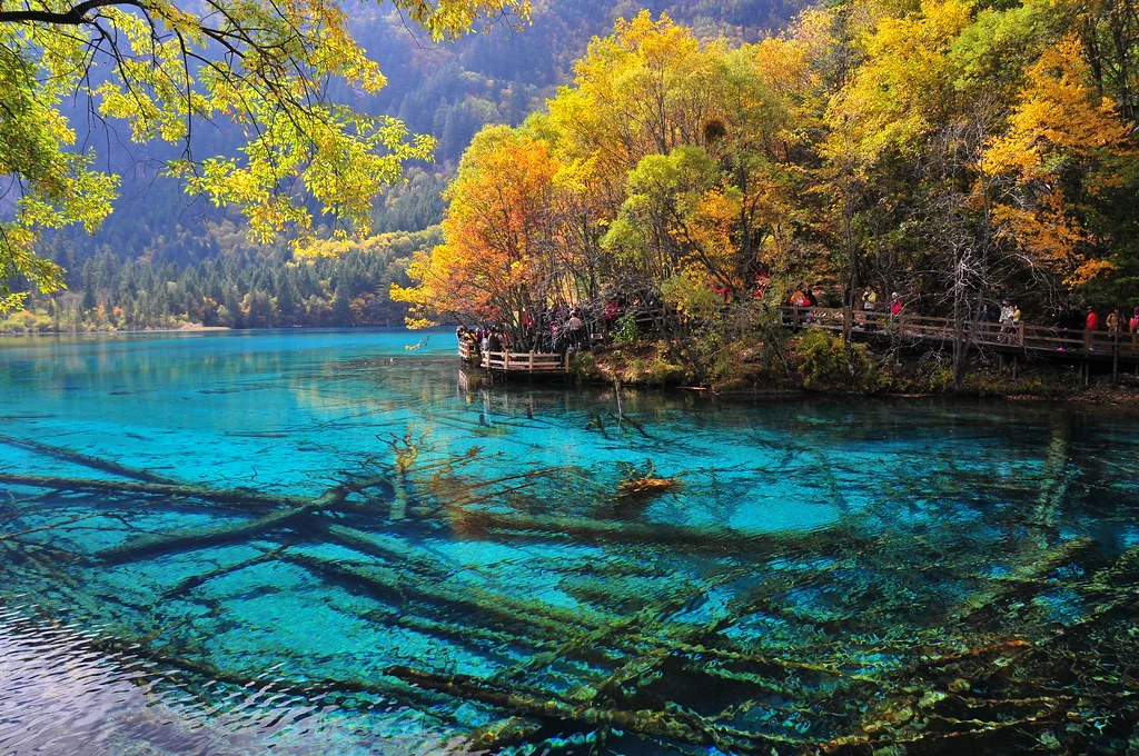 Lac des cinq fleurs, Chine