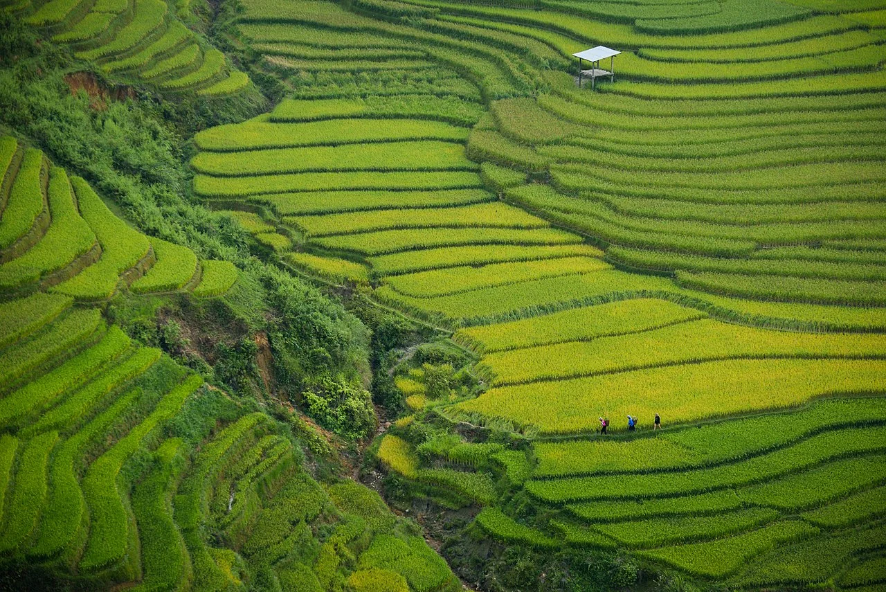 Khau Pha Pass, Vietnam