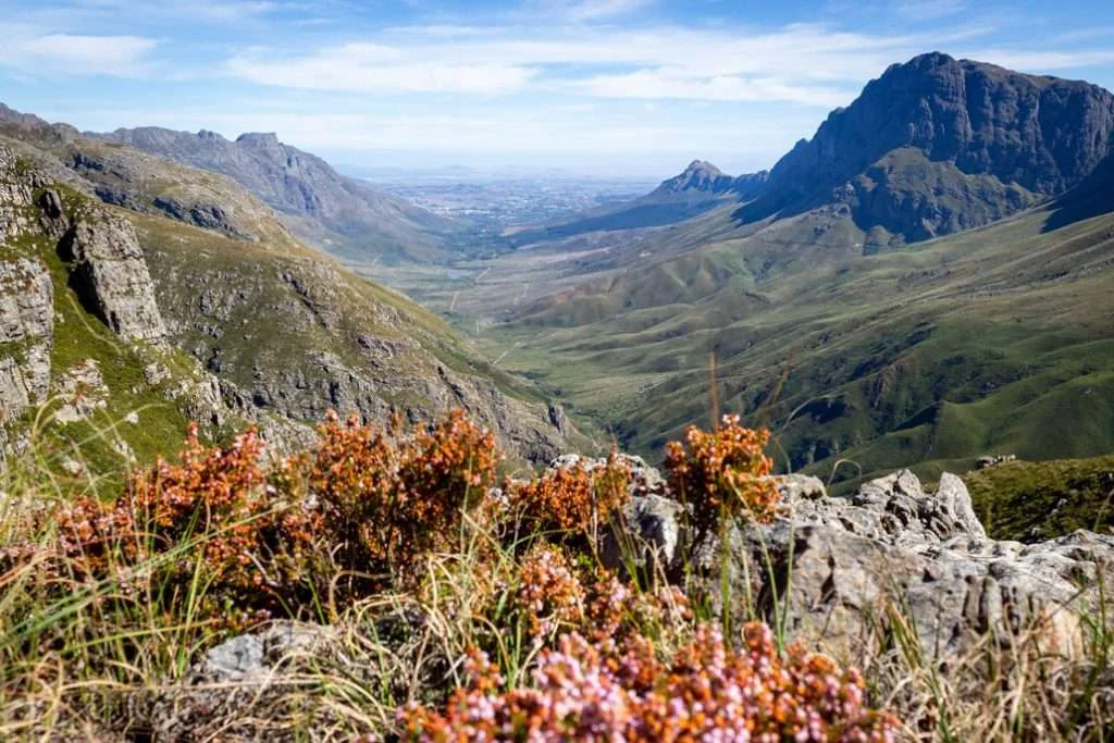 Jonkershoek Nature Reserve, Afrique du Sud