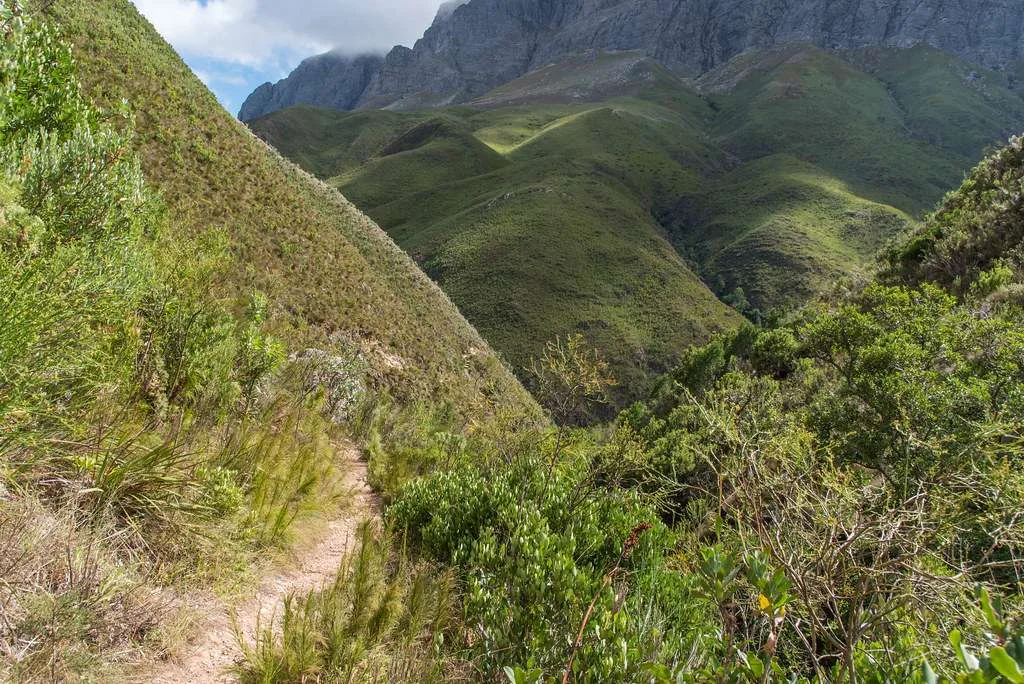 Jonkershoek Nature Reserve, Afrique du Sud